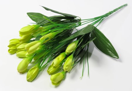 Крокус 21 цветок