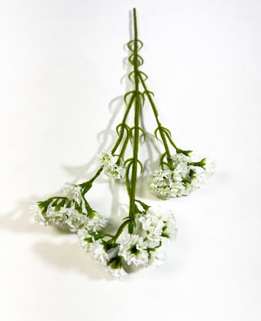 Статица белая