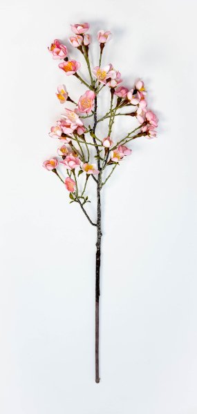 Сакура "Японская" розовая