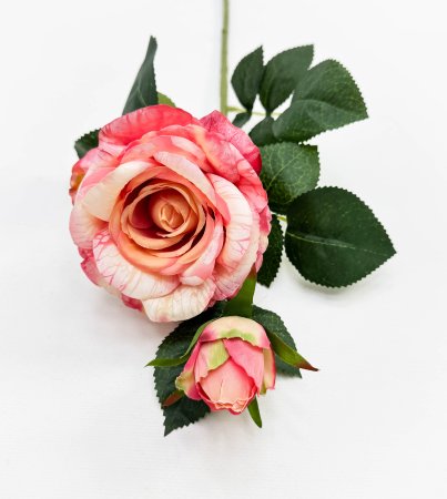 Роза "Булевард" розово-оранжевая