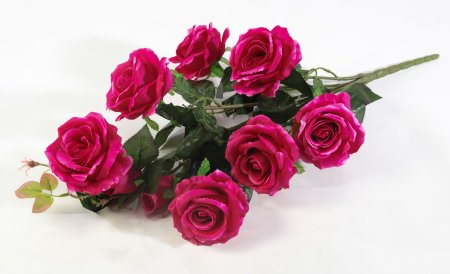 Ветка роз "Альф" 7 цветков 2 бутона