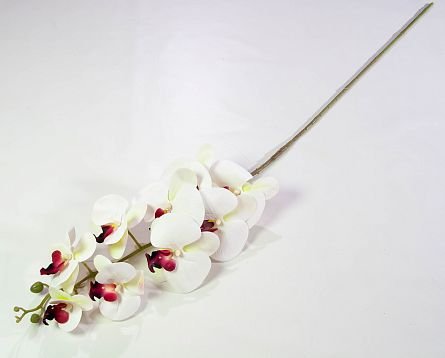 Ветка орхидеи 19 от магазина KALINA являющийся официальным дистрибьютором в России 