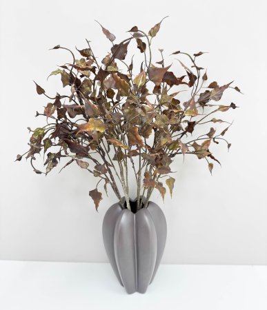 Ветка с пожухлыми листами