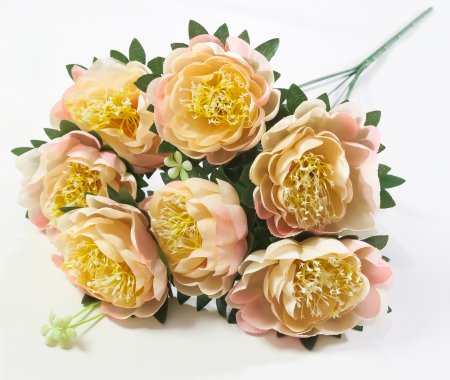 Пион "Миледи" 7 цветков