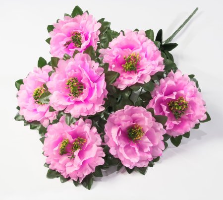 Букет пионов "Принцесса" 7 цветков