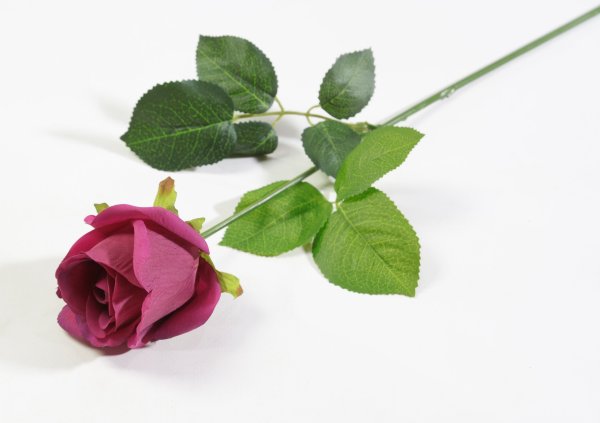 Роза с латексным покрытием малиновая