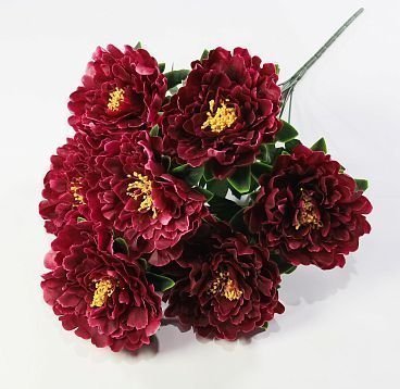 Пион "Гарант" 7 цветков от магазина KALINA являющийся официальным дистрибьютором в России 
