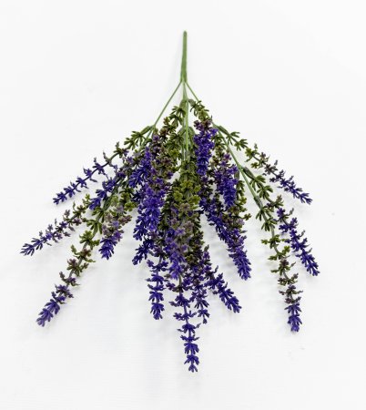 Лаванда Бичвуд Блю