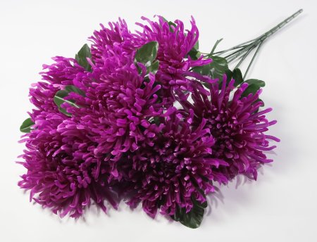 Астра "Кардинал" 7 цветков