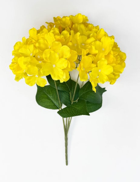 Гортензия "Солнечный блик" 5 цветков