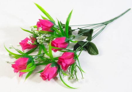 Роза Сольфеджио 6 цветков