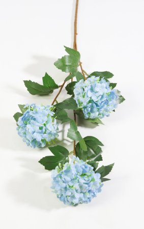 Калина Бульденеж голубая