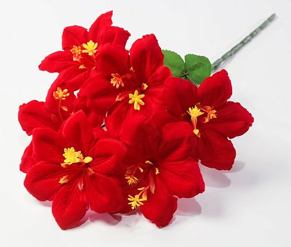 Лилия "Виолетта" 6 цветков от магазина KALINA являющийся официальным дистрибьютором в России 