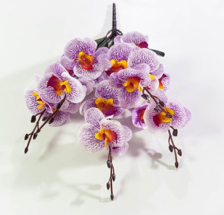 e7ba1f7ecd592ab54d8accaa08a17e08