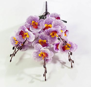 Орхидея "Осень"  5 веток от магазина KALINA являющийся официальным дистрибьютором в России 