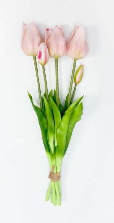 Тюльпан "Триумф" нежно-розовый