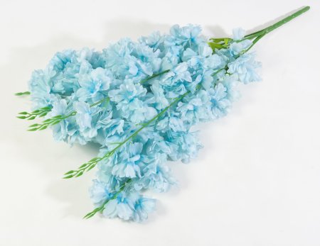 Ветка яблони "Неженка" 5 веток