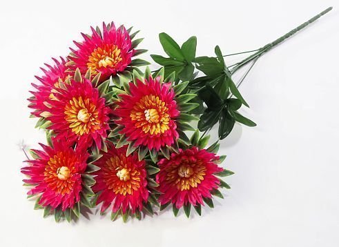 Астра "Росинка" 7 цветков от магазина KALINA являющийся официальным дистрибьютором в России 