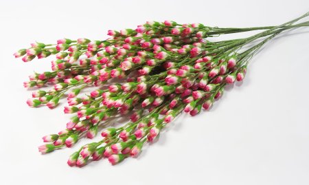 Ветка с мелкими тюльпанами