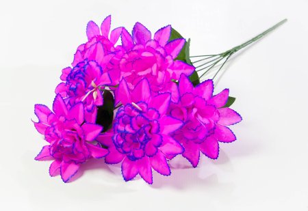 Шафран "Звезда малая" 6 веток