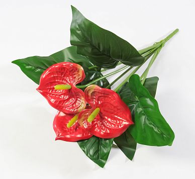 Антуриум "Красный"  3 цветка от магазина KALINA являющийся официальным дистрибьютором в России 
