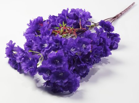 Ветка яблони 5 веток