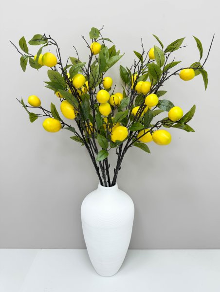 Ветка лимона 7 плодов