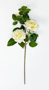 Роза "Радмира" белая