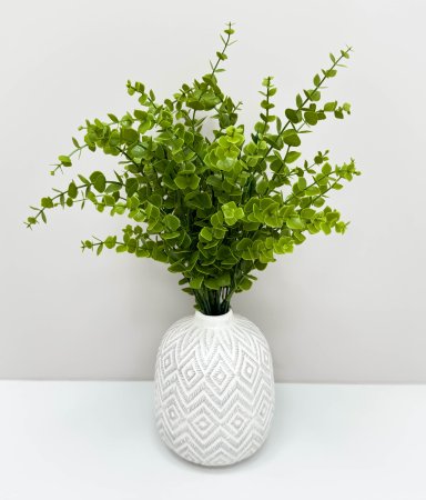 картинка Эвкалипт Гунна от магазина KALINA