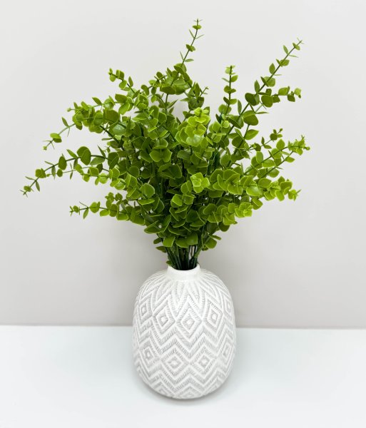 картинка Эвкалипт Гунна от магазина KALINA