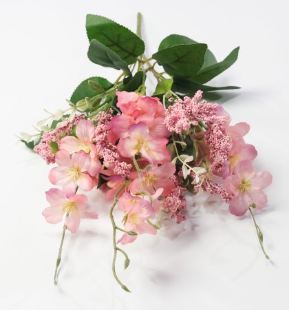 Мелкоцвет с парфэ коралл