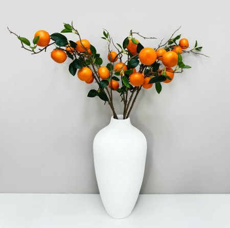 Ветка мандарина 5 плодов