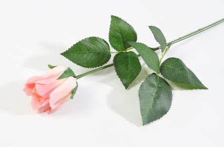 Роза с латексным покрытием малая коралл