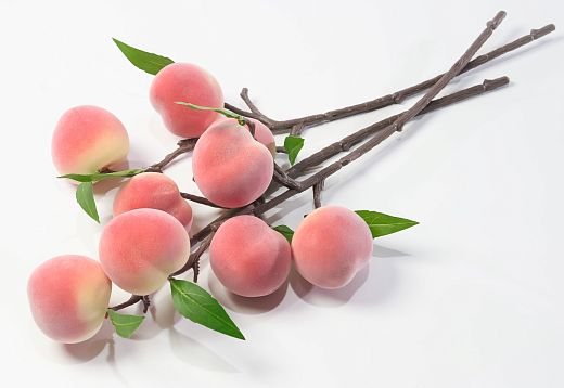 Ветка с плодами персика от магазина KALINA являющийся официальным дистрибьютором в России 