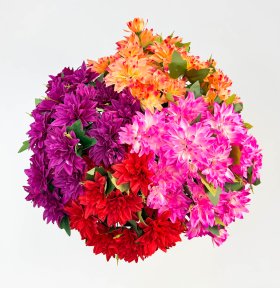 Георгин "Иволга" 15 цветков