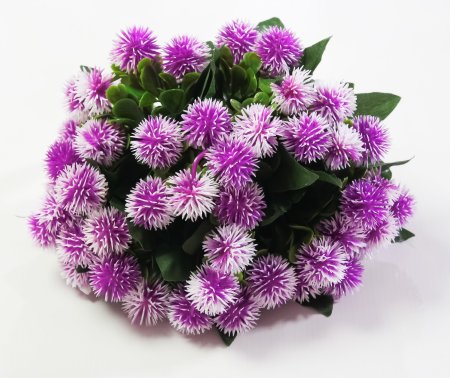 Репей садилка 5 цветков