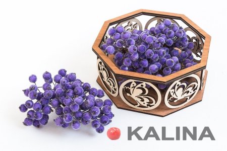 Ягода рябина в инее с черенком