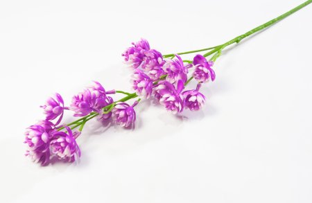 Ветка с мелким лотосом пластик