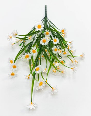 Ромашка "Опера малая" 66 цветков