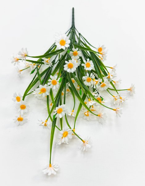 Ромашка "Опера малая" 66 цветков