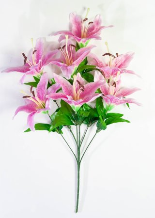 Лилия "Леди Элис" 7 цветков