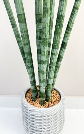 Сансевиерия цилиндрик 97 см