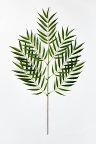 Хамедорея 7 листов, искусственные цветы и декор КалинаКрас