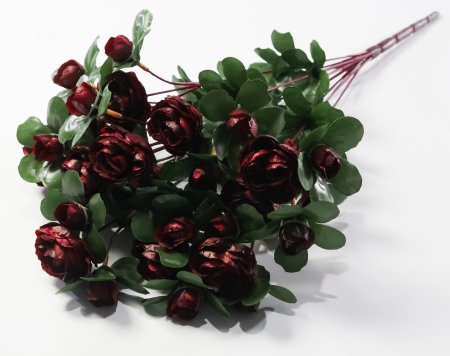 Ранункулюс 36 цветков