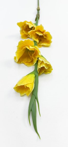 Гладиолус "Цветочный калейдоскоп" желтый