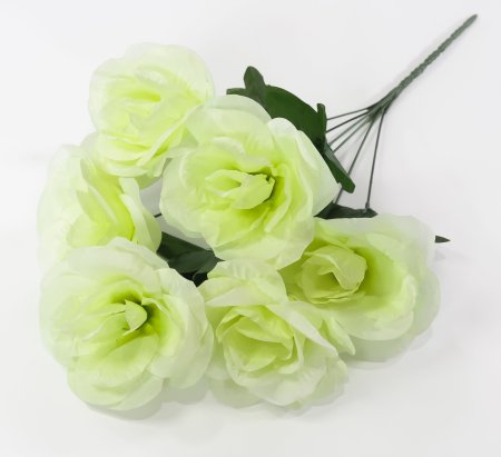 Букет роз Астолат 6 цветков