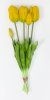 Тюльпан "Корона весны" желтый
