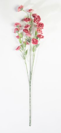 Ветка мелкой розы с напылением