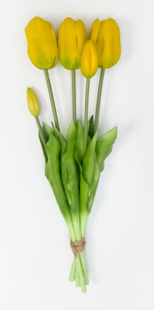 Тюльпан "Корона весны" желтый