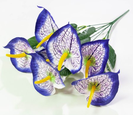 Букет калл разноцветных 7 цветков